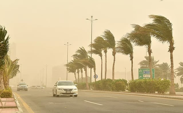 طقس المملكة الأربعاء.. استمرار هطول الأمطار الرعدية والرياح المثيرة للأتربة والغبار على عدة مناطق 