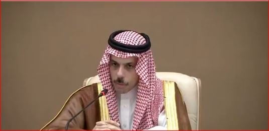 وزير الخارجية: سعدنا بوقف إطلاق النار بين الهند وباكستان