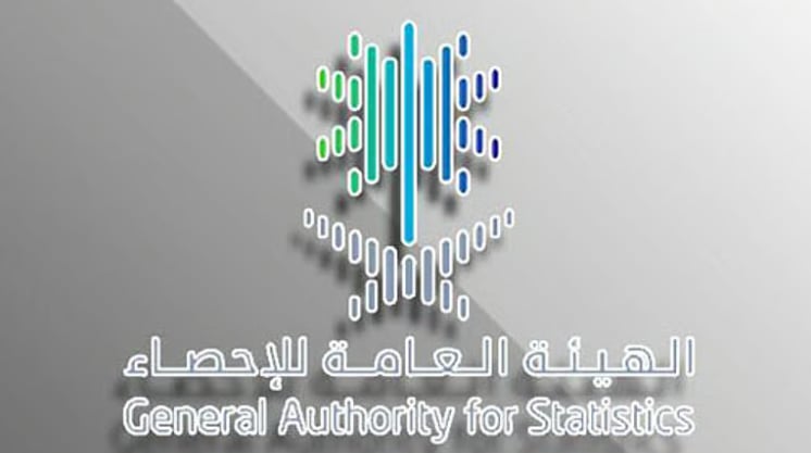 «الإحصاء»: 15.6% حصة الاقتصاد الرقمي من الناتج المحلي الإجمالي خلال 2023