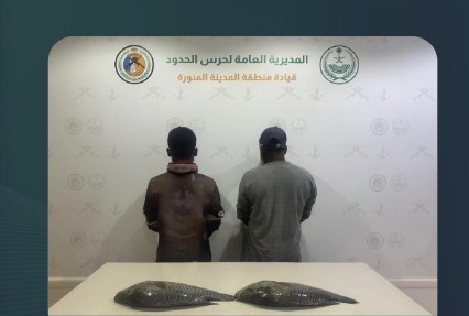 ضبط مقيمين مخالفين للائحة الأمن والسلامة لمزاولي الأنشطة البحرية بمنطقة المدينة المنورة 