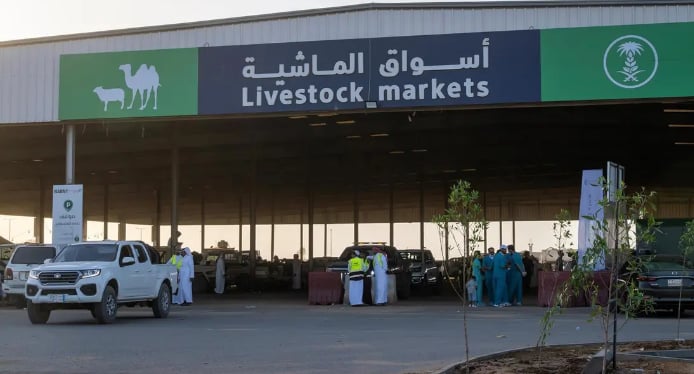 سوق المواشي بتبوك يشهد إقبالاً مع قرب عيد الأضحى