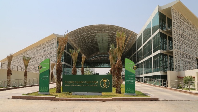"البيئة": مسالخ الوزارة استقبلت أكثر من 385 ألف ذبيحة خلال الأيام الـ3 الأولى من عيد الأضحى