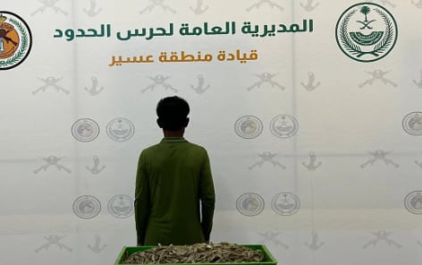 ضبط مقيم مخالف للائحة الأمن والسلامة لمزاولي الأنشطة البحرية في عسير