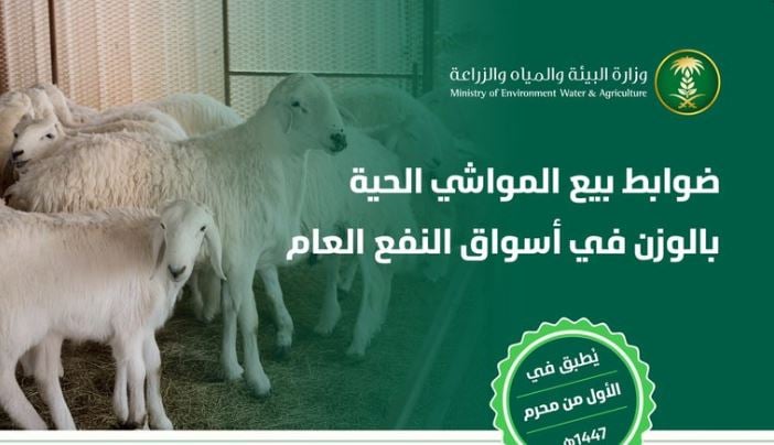 «البيئة» تعلن ضوابط بيع المواشي الحية بالوزن.. والتطبيق الخميس المقبل