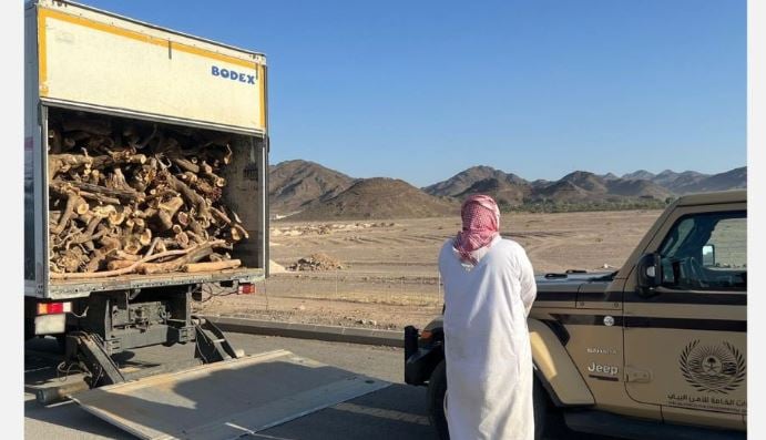  ضبط مواطن مخالف لنظام البيئة لنقله حطبًا محليًّا في منطقة الرياض