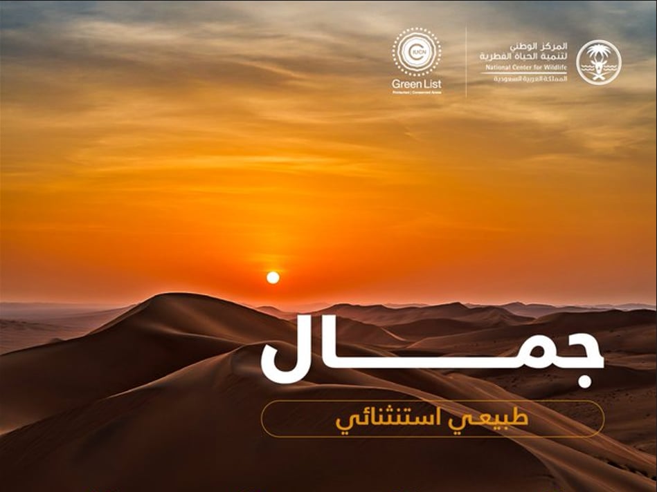 محمية عروق بني معارض.. تراث طبيعي عالمي يعكس روعة التنوع البيئي في صحراء المملكة