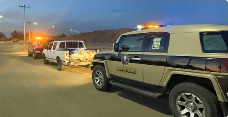 دوريات المجاهدين بجازان تقبض على شخص لترويجه 11 كيلوجرامًا من القات 