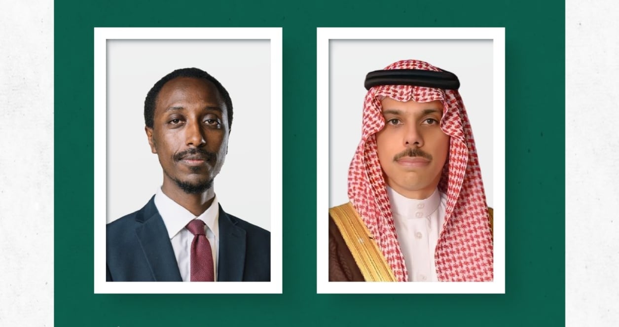 وزير الخارجية يبحث مع نظيره الأثيوبي آخر تطورات الأوضاع الإقليمية
