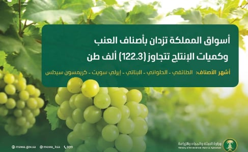 أسواق المملكة تزدان بأجود أصناف العنب وكميات الإنتاج تتجاوز 122.3 ألف طن