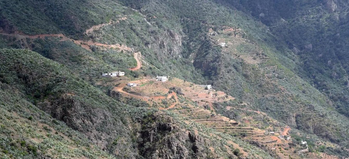 قمم السودة الجبلية تجذب السياح بالأجواء النادرة  
