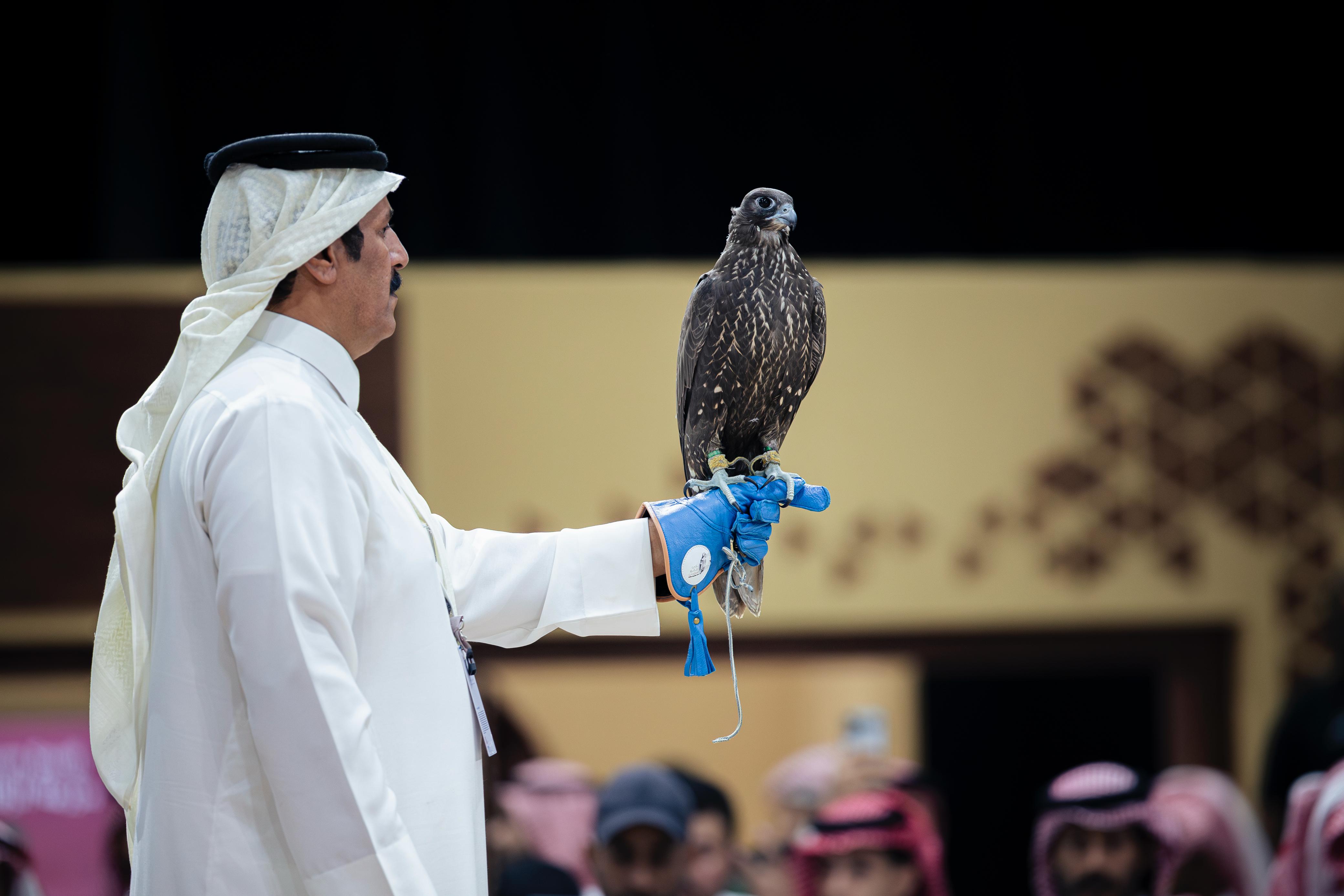 بيع صقرين بـ180 ألف ريال في الليلة الأولى لمنصة المزاد الدولي لمزارع إنتاج الصقور 2025

