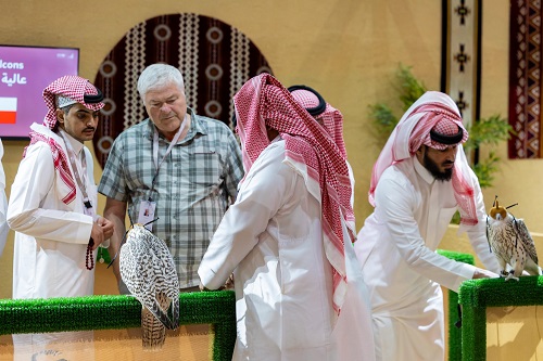 صقارون دوليون يثمنون تسهيلات نادي الصقور في نقل واستضافة الصقور المشاركة بالمزاد الدولي لمزارع الإنتاج