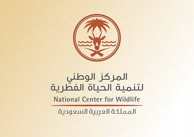 «الحياة الفطرية»: الصيد يخضع للأنظمة والقوانين الوطنية.. والرقابة مستمرة