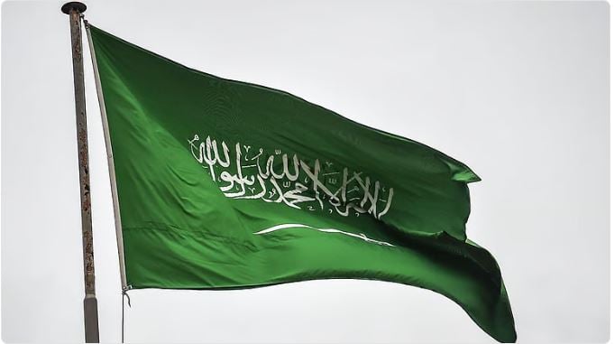 بمناسبة اليوم الوطني الـ95.. تعرف على محظورات استخدام العلَم السعودي