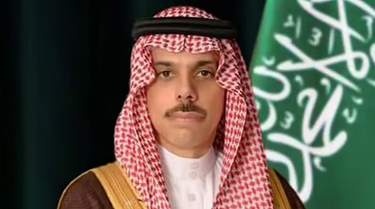 وزير الخارجية: مؤتمر حل الدولتين يشكل فرصة لتحقيق السلام
