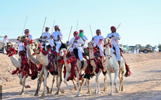 بمسيرات للهجن والخيول.. أهالي محافظة حقل يحتفلون باليوم الوطني الـ 95