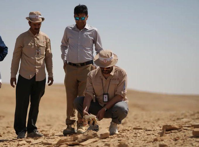 إطلاق كائنات فطرية في محمية الوعول