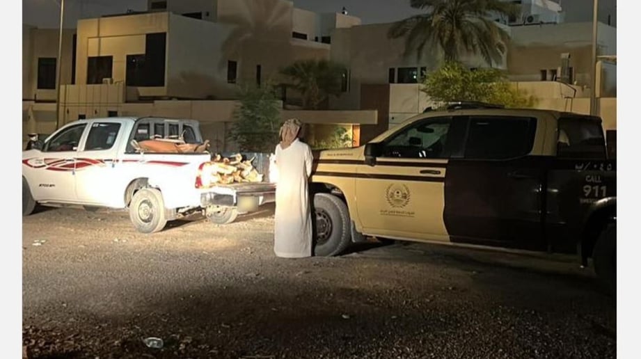 ضبط مواطن ومقيم يمني لارتكابهما مخالفة التخييم ونقل الحطب المحلي في الرياض وعسير 