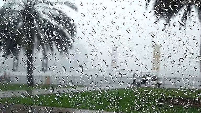 الأرصاد: استمرار هطول الأمطار في المدينة المنورة وحائل