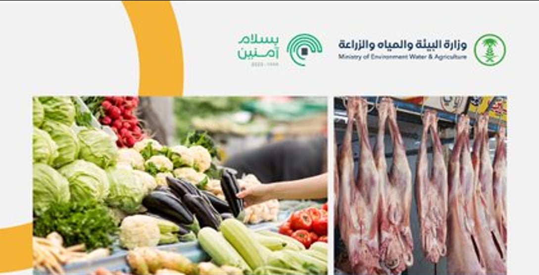 «بيئة الجوف» تضبط 14 مخالفة خلال 996 جولة رقابية على أسواق النفع العام والمسالخ
