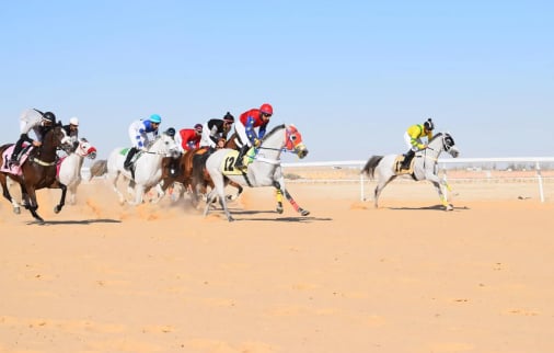فروسية الأحساء تقيم حفل سباقها الخامس