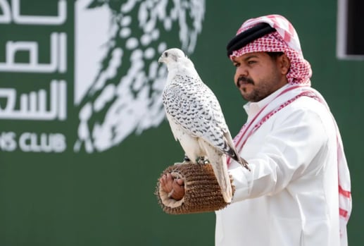 صقور المحترفين تتنافس على جوائز كأس نادي الصقور السعودي 2025 في رابع أيامه