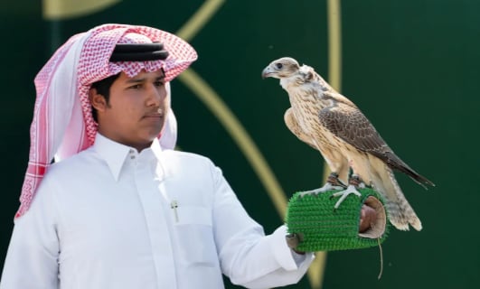 182 صقرًا يتنافسون في سابع أيام "كأس نادي الصقور السعودي"