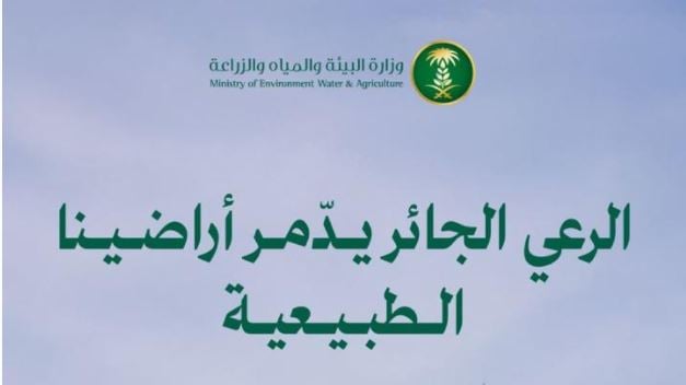 «البيئة» تؤكد أهمية الحد من الرعي الجائر لحماية الغطاء النباتي وتعزيز استدامة الموارد الطبيعية بالمملكة