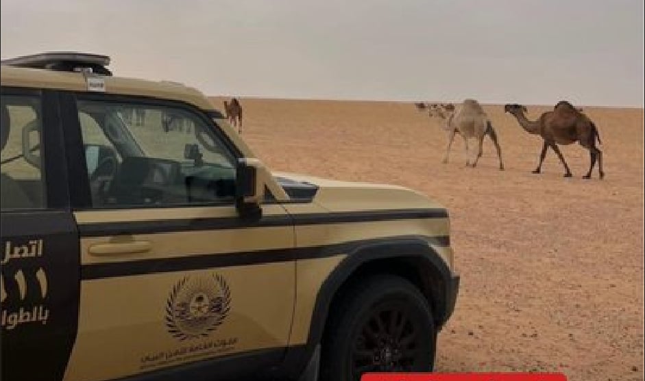 ضبط مواطن لارتكابه مخالفة رعي في محمية الملك عبدالعزيز الملكية