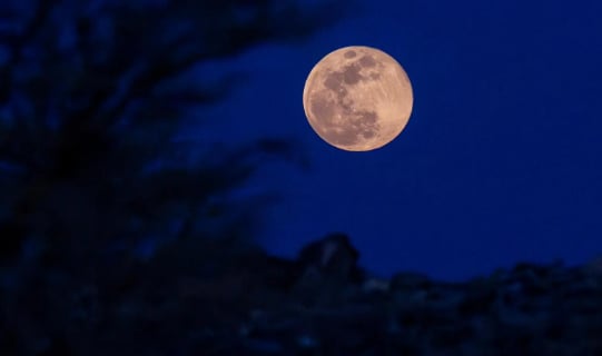 رصد أول قمر عملاق في سماء المملكة خلال العام الجديد