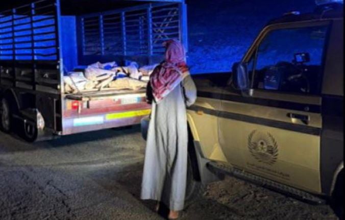 ضبط مخالف لنظام البيئة لنقله حطبًا محليًا بمحمية الأمير محمد بن سلمان الملكية