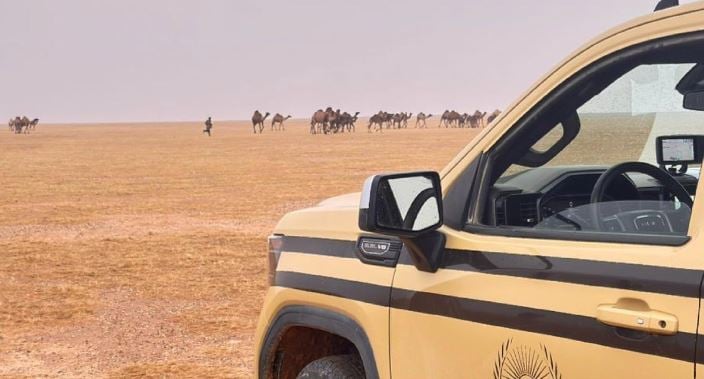 ضبط مخالف لنظام البيئة لارتكابه مخالفة رعي بمحمية الملك عبدالعزيز الملكية