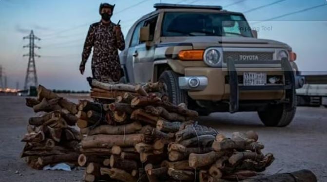 ضبط مواطن لنقله حطب محلي في منطقة الرياض