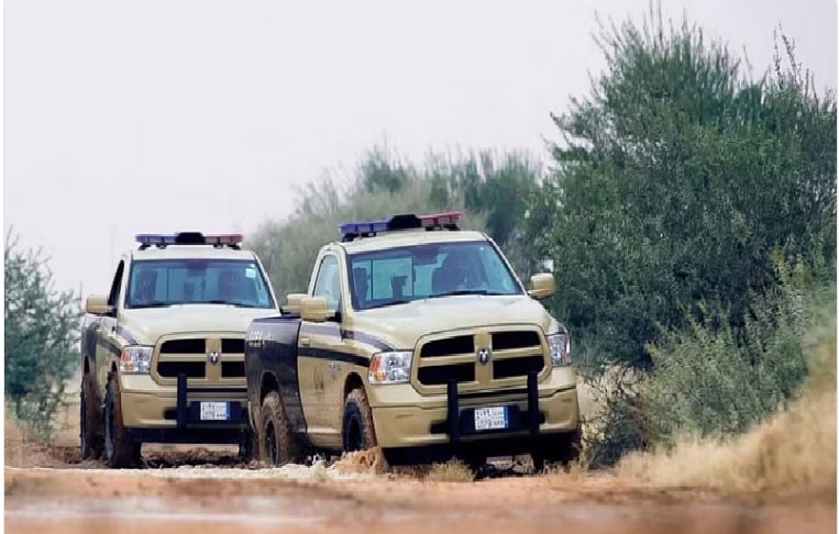 «الأمن البيئي» تضبط مواطنًا لتخزينه حطبًا محليًا في المنطقة الشرقية