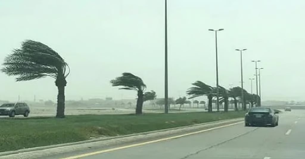 «الأرصاد»: رياحٌ شديدة وتدنٍ في مدى الرؤية على منطقة حائل