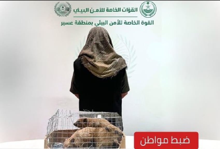 ضبط مواطن بعسير ظهر في محتوى مرئي يعرض كائنات فطرية دون ترخيص للبيع 