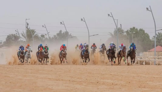 20 فائزًا في حفل السباقات العاشر بميدان فروسية الجوف