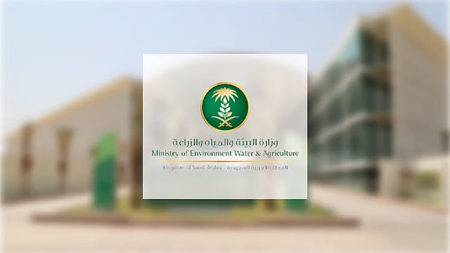 «البيئة»: 17.9 ألف زيارة للمنشآت للتأكد من جاهزية أسواق النفع العام والمسالخ خلال رمضان