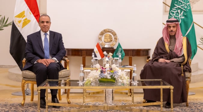 وزير الخارجية يبحث جهود خفض التصعيد في المنطقة مع نظيره المصري