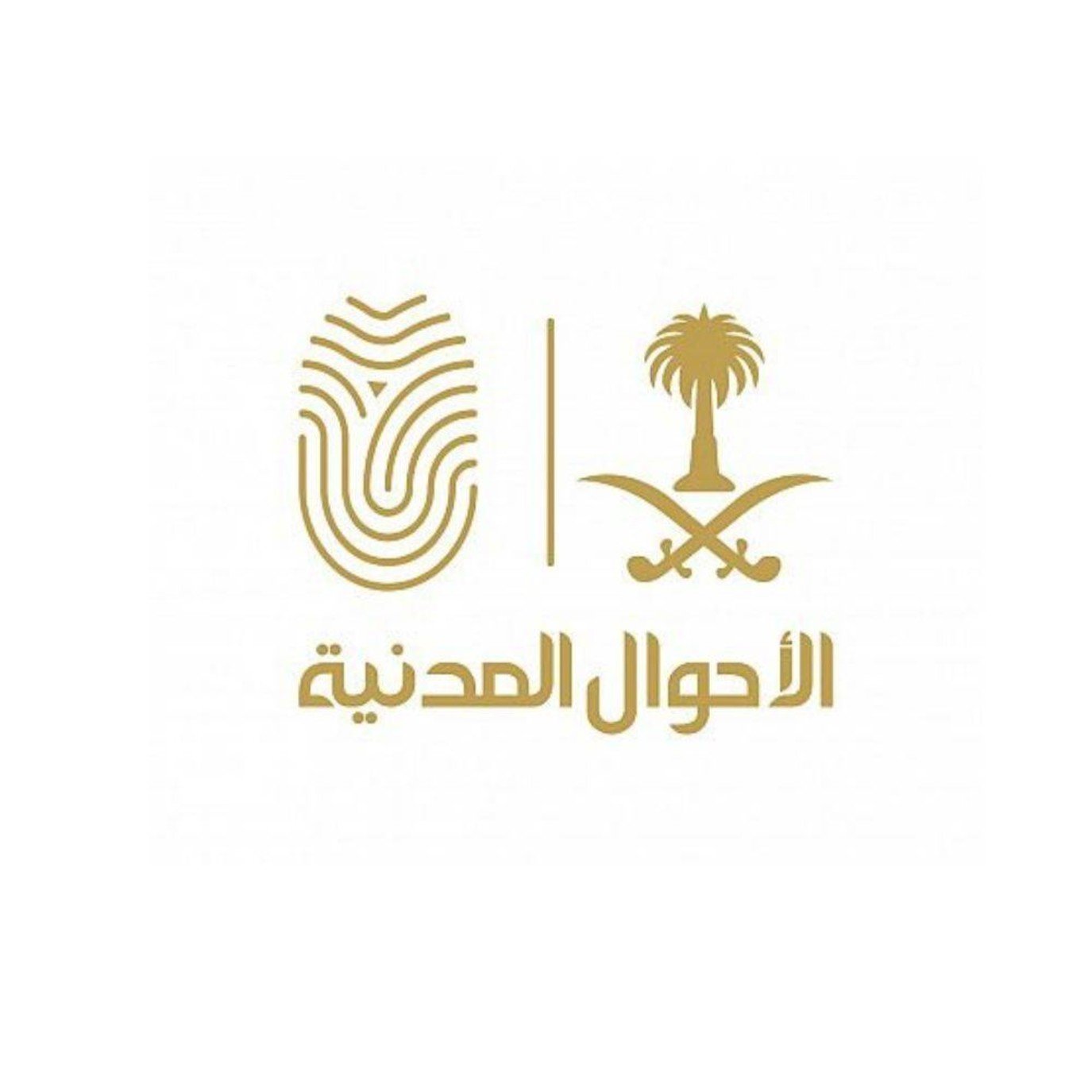 «الأحوال المدنية» توضح خطوات تسجيل المواليد إلكترونيا