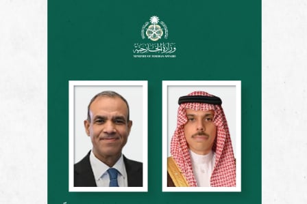 وزير الخارجية يبحث التطورات في المنطقة مع نظيره المصري