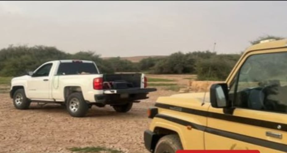ضبط مواطن دخل بمركبته إلى روضة في محمية الملك عبدالعزيز الملكية