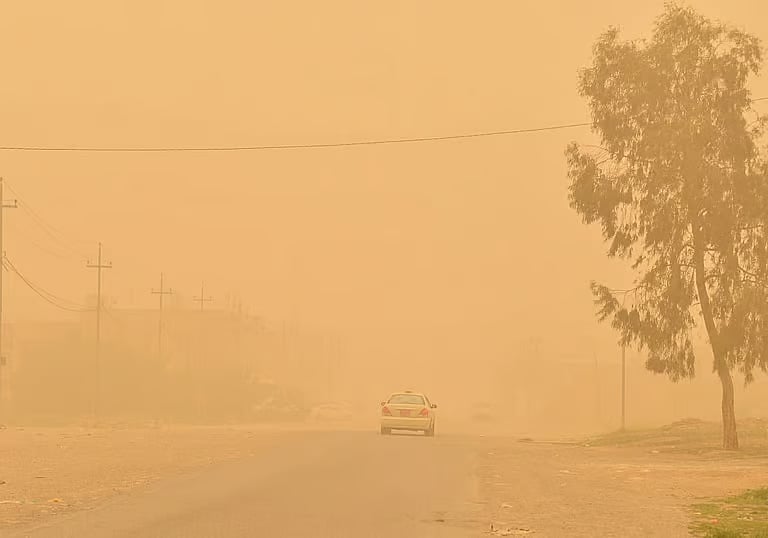«الأرصاد»: حماية المراعي خط الدفاع الأول ضد التصحر