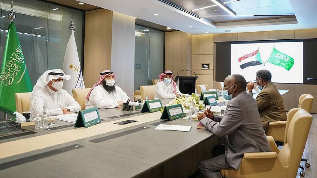 نائب وزير الصناعة يبحث تطوير التعاون بمجالات التعدين مع السودان