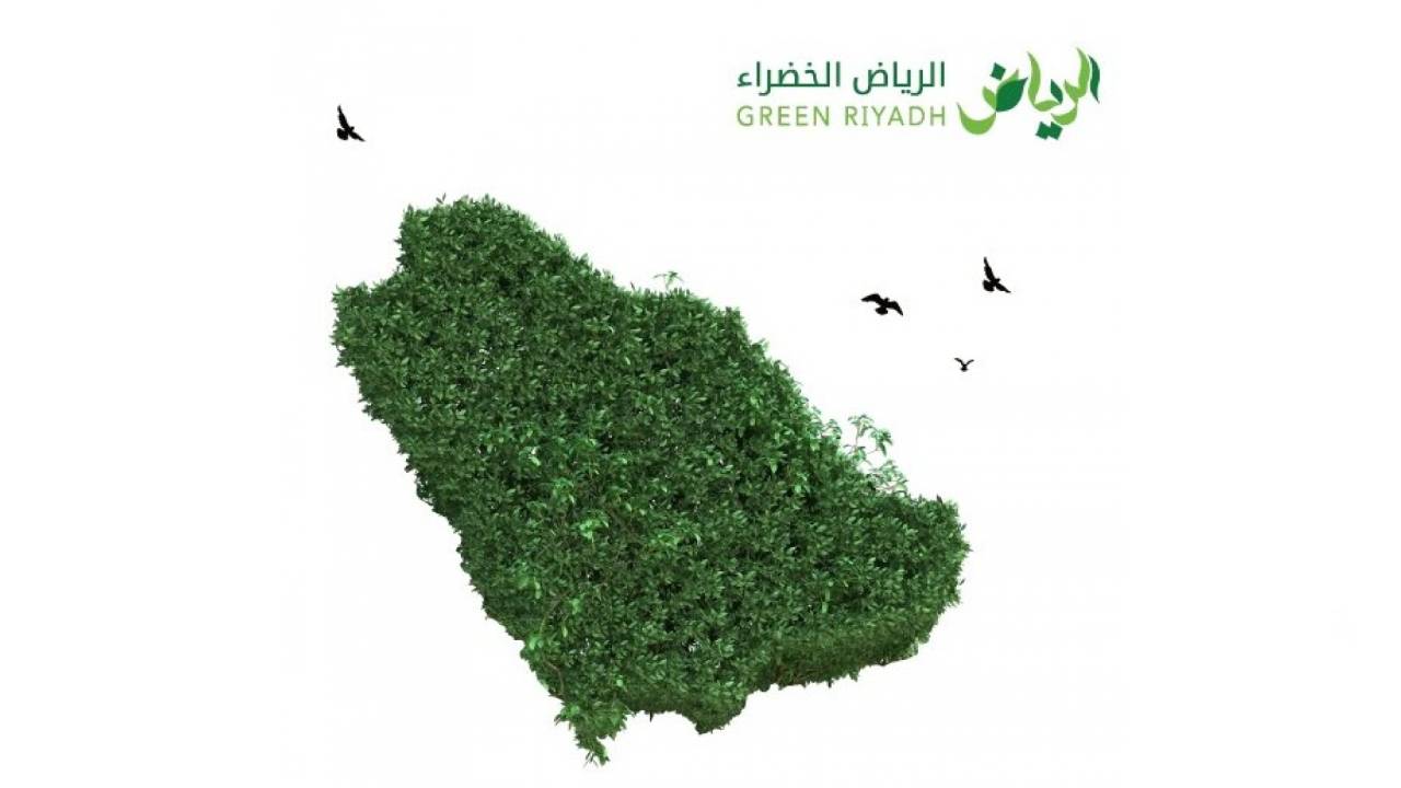 «الرياض الخضراء» ترسم خريطة السعودية بالأشجار المحلية