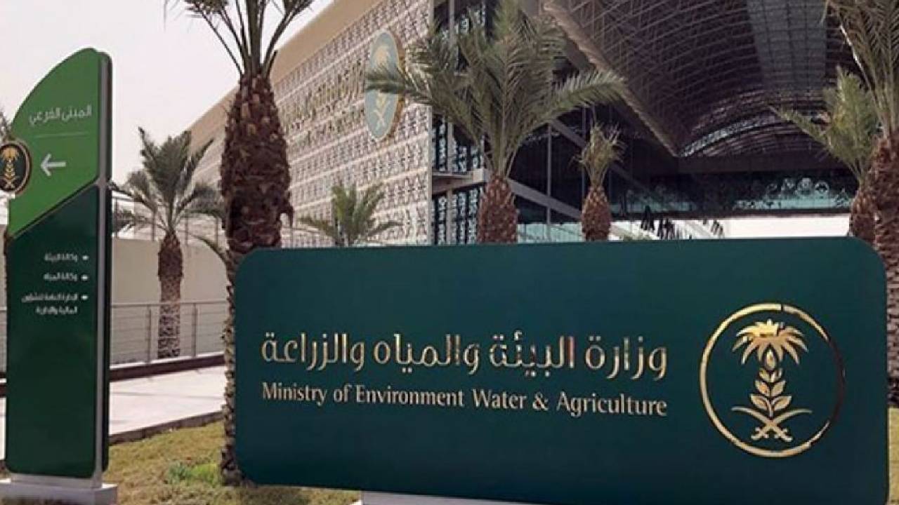 برنامج ريف يحدد مدة دراسة الأهلية لقطاع الأسر المنتجة