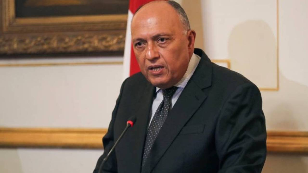 مصر تجدد طلبها بخروج غير مشروط وسريع للمرتزقة من ليبيا