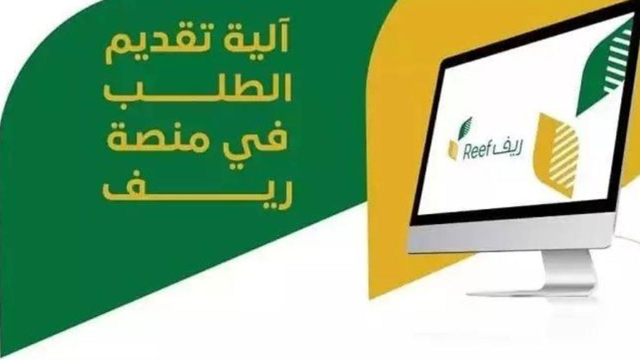 هل يقبل دعم ريف الموظفة المسجلة بالتأمينات؟ البرنامج يوضّح 