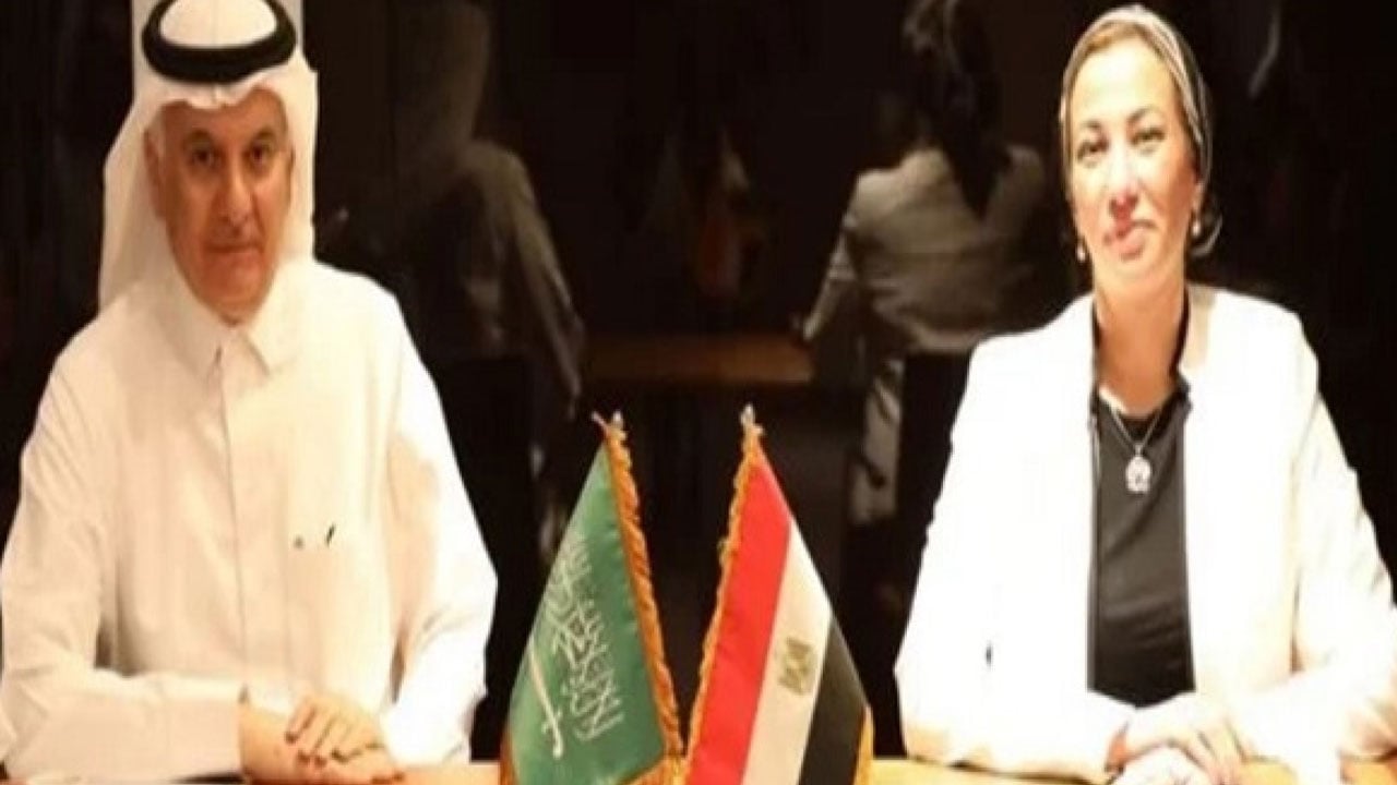 السعودية ومصر تبحثان تحلية المياه وتحويل المخلفات إلى طاقة