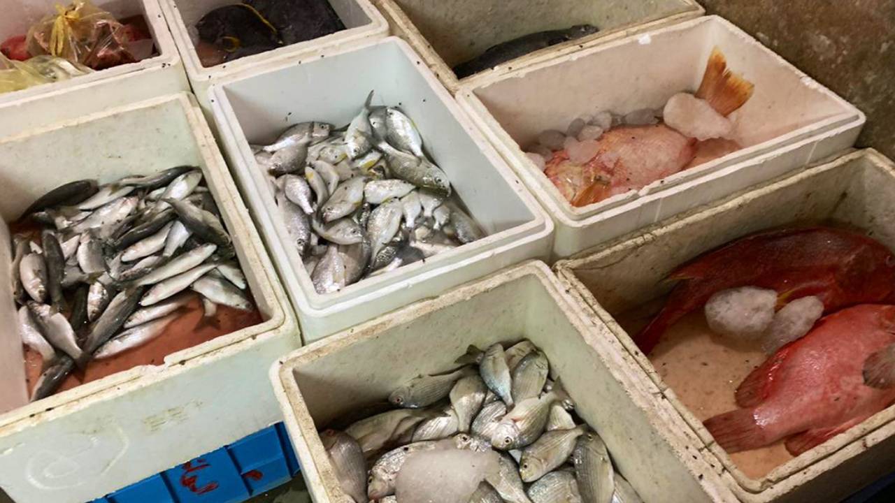 مصادرة 50 طناً من المواد الغذائية الفاسدة وإغلاق 11 منشأة بالعاصمة المقدسة